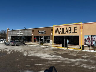 More details for 103rd & 76th Ave, Bridgeview, IL - Retail for Lease