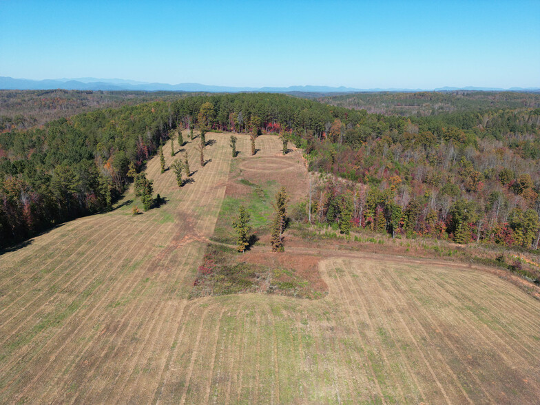 Corner of Ponder Rd. and Pea Ridge Rd., Mill Spring, NC for sale - Building Photo - Image 1 of 1