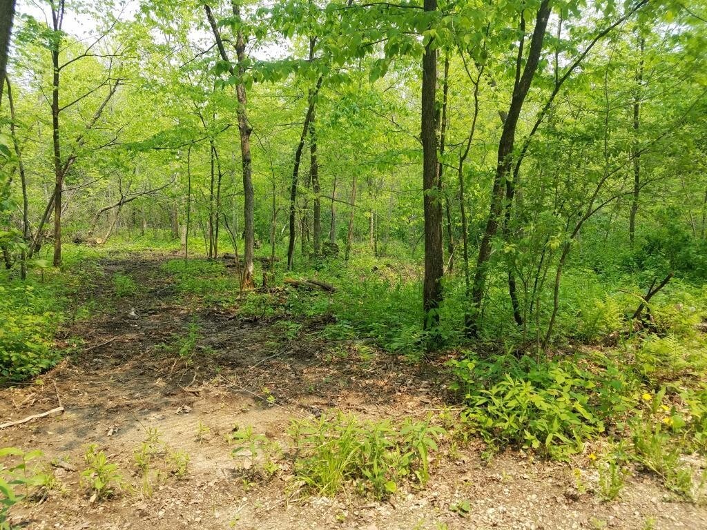 TBD 412th Ave, Mazeppa, MN for sale Other- Image 1 of 1