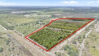 30 acres Tree Farm - Owner Financed Property