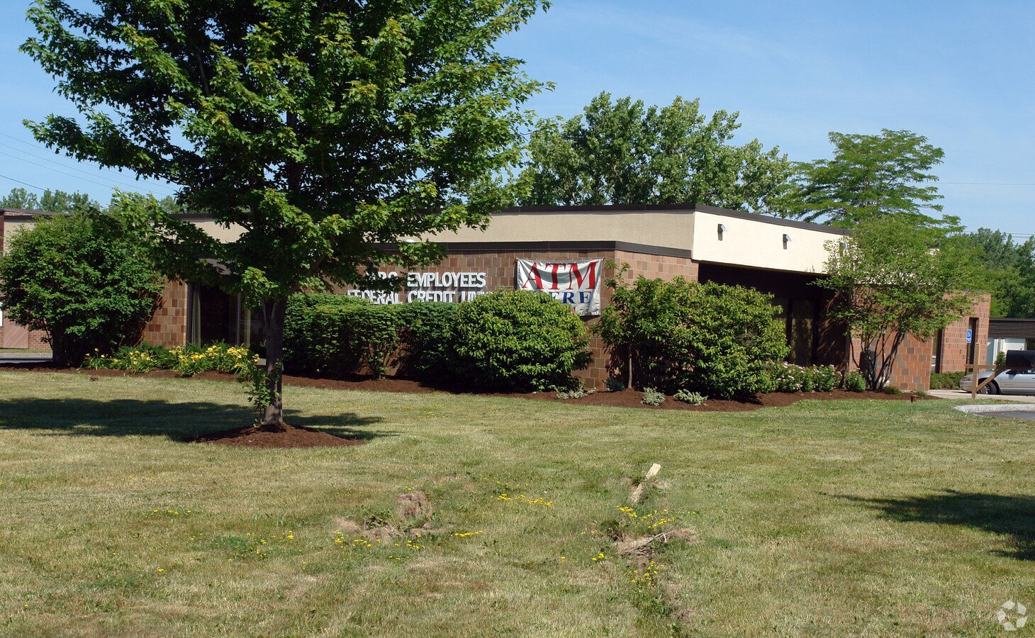 Primary Photo