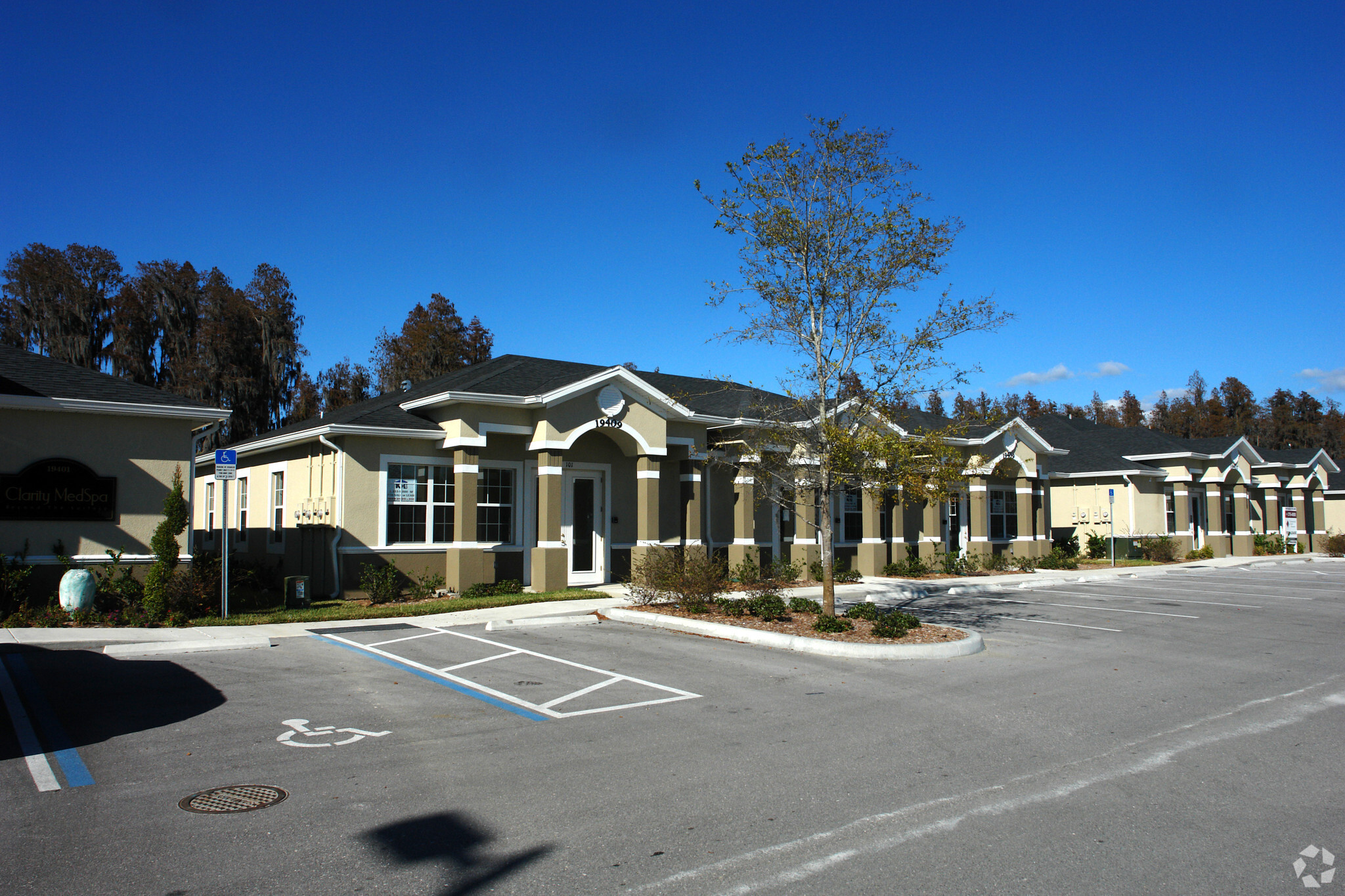 19409 Shumard Oak Dr, Land O Lakes, FL for sale Primary Photo- Image 1 of 1