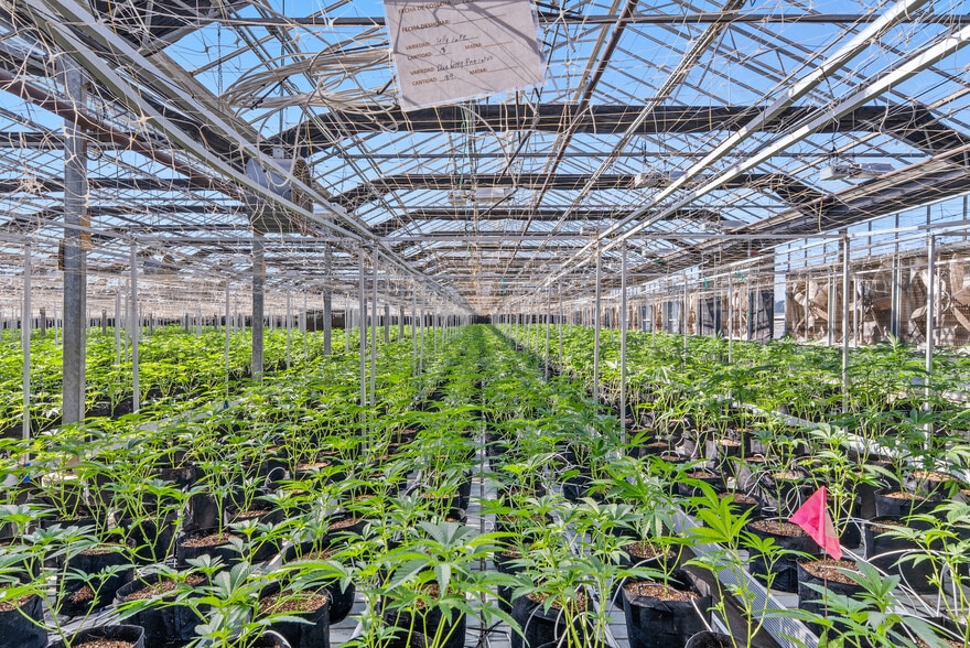 481-570 San Andreas Rd, Pajaro, CA for sale - Building Photo - Image 1 of 16