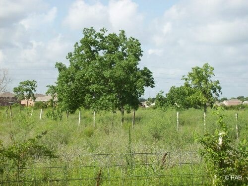 2322 Mars Dr, Rosharon, TX for sale Building Photo- Image 1 of 1