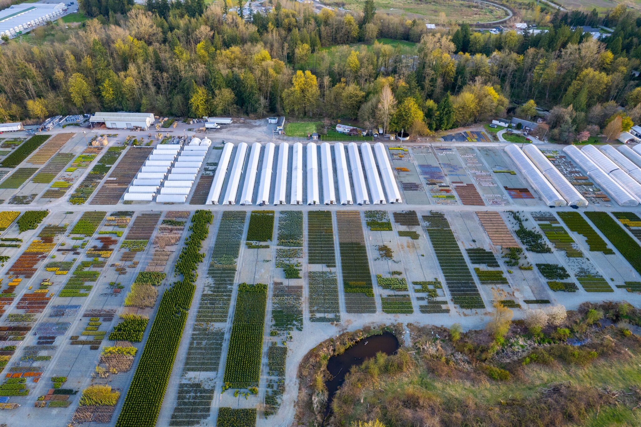 36663712 224 St, Langley, BC V2Z 2G7 Linnaea Nurseries