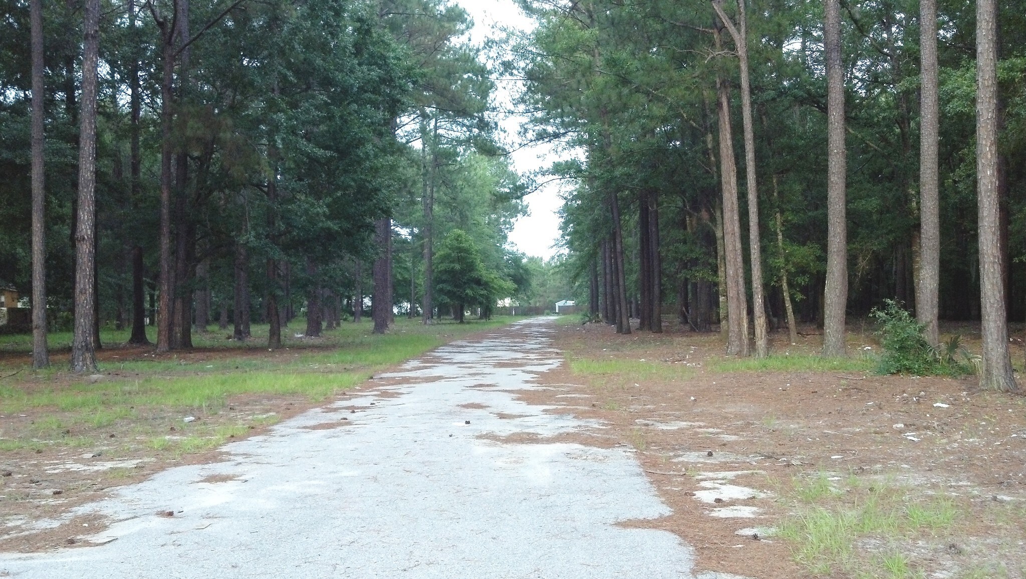 850 Griffin Rd, Allenhurst, GA for sale Primary Photo- Image 1 of 1