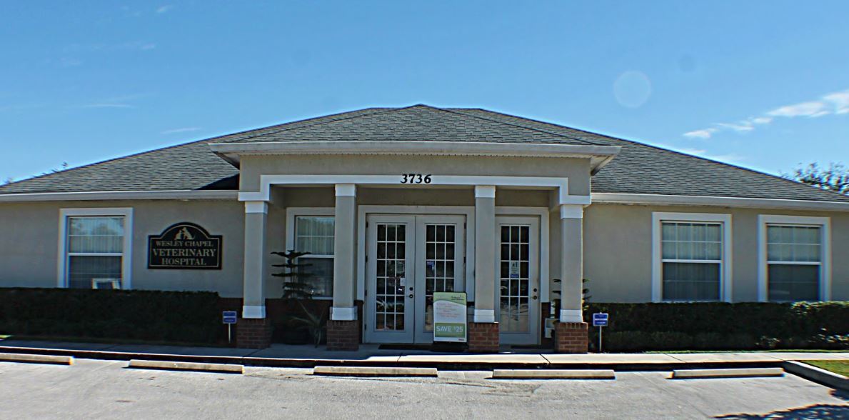 3736 Turman Loop, Zephyrhills, FL for sale Building Photo- Image 1 of 1