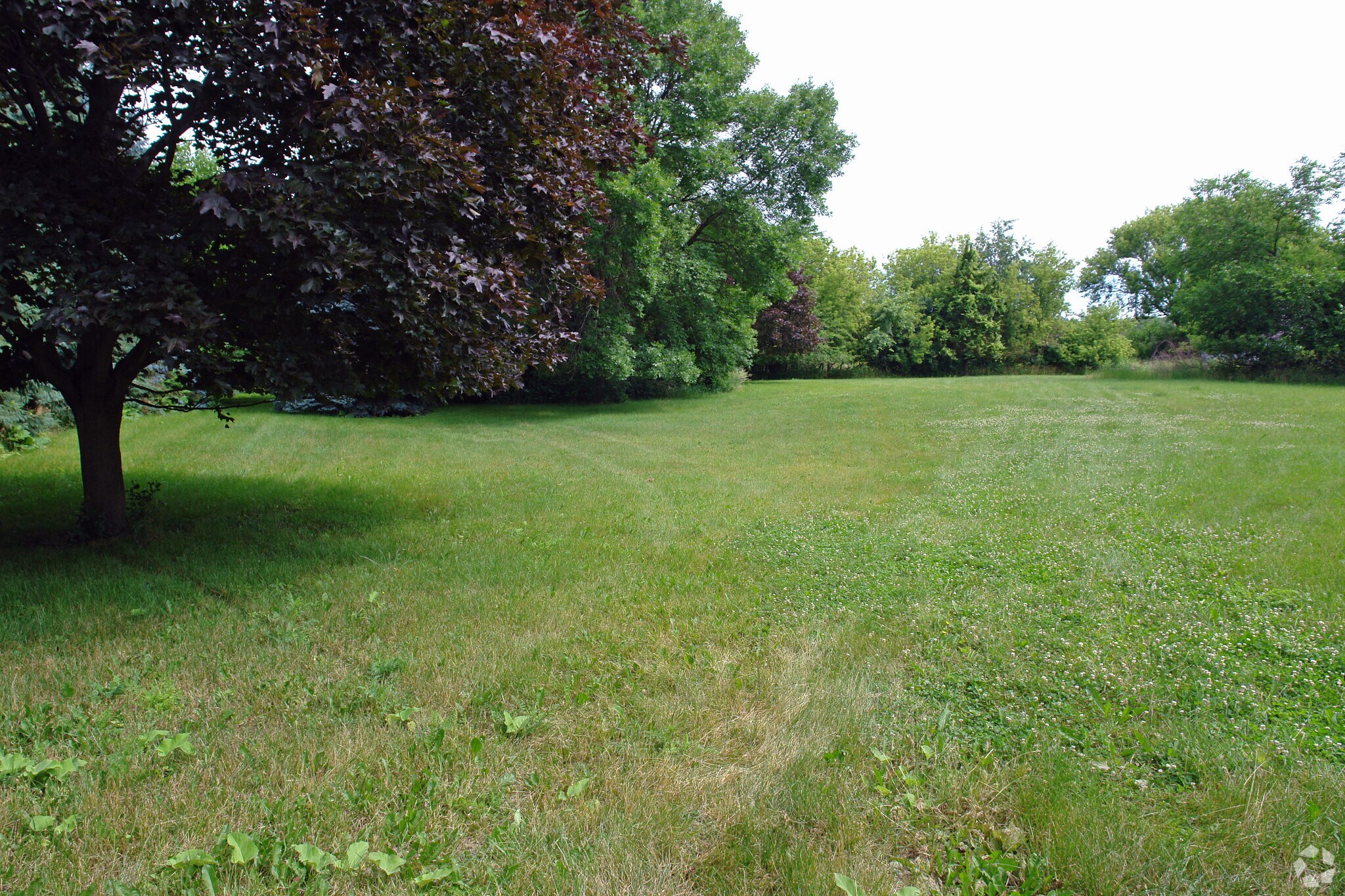 4202 Three Oaks Rd, Crystal Lake, IL for sale Primary Photo- Image 1 of 1