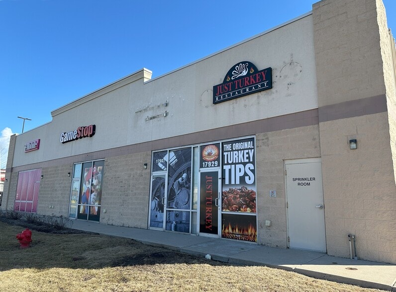 17923-17929 Halsted St, Homewood, IL for lease - Building Photo - Image 2 of 2