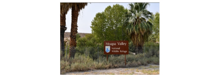 W Thomas, Logandale, NV for sale - Building Photo - Image 2 of 5