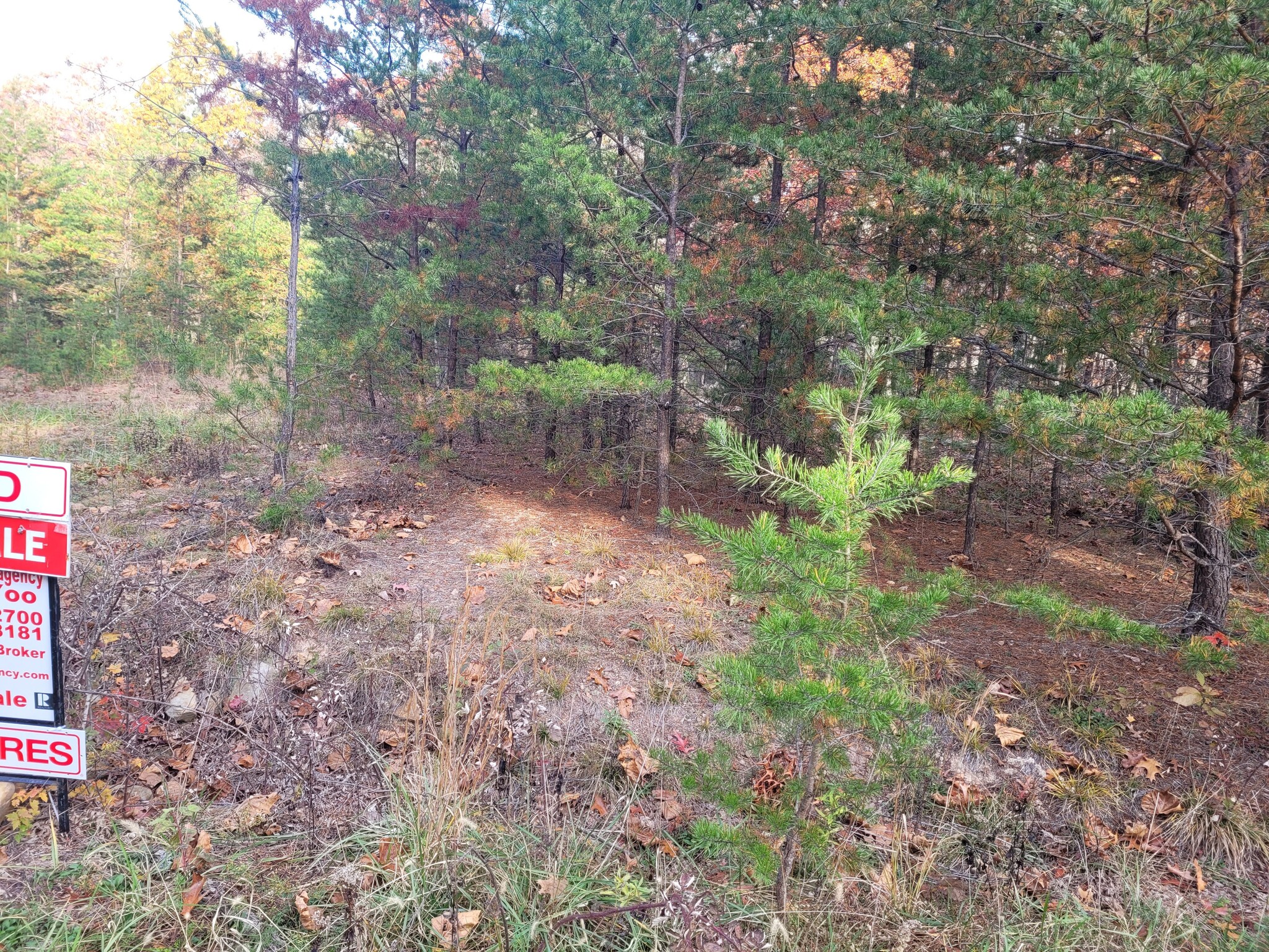 Lot 26 Cabin Run -1, Bloomery, WV for sale Primary Photo- Image 1 of 15