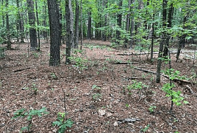 Jimmie Mayfield Blvd Fayetteville, GA  30215 United States, Fayetteville, GA for sale - Other - Image 2 of 16