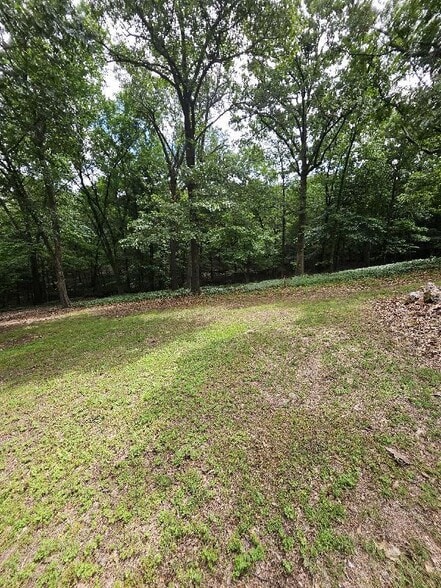 Unassigned Blue Bonnet Avenue, Disney, OK for sale - Other - Image 3 of 8