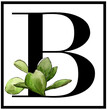 Boxwood Properties LLC