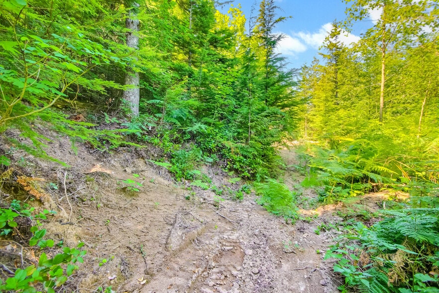 32750 343rd Ave SE, Ravensdale, WA for sale - Building Photo - Image 3 of 49