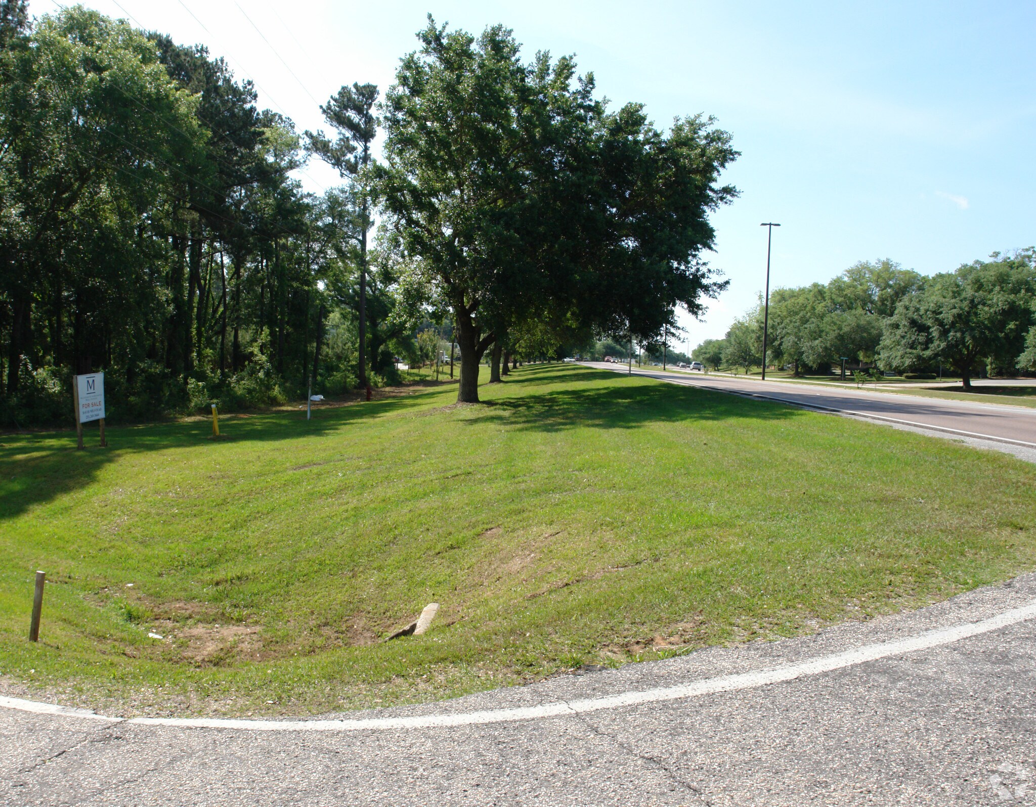 2310 US Highway 98, Daphne, AL for sale Primary Photo- Image 1 of 1