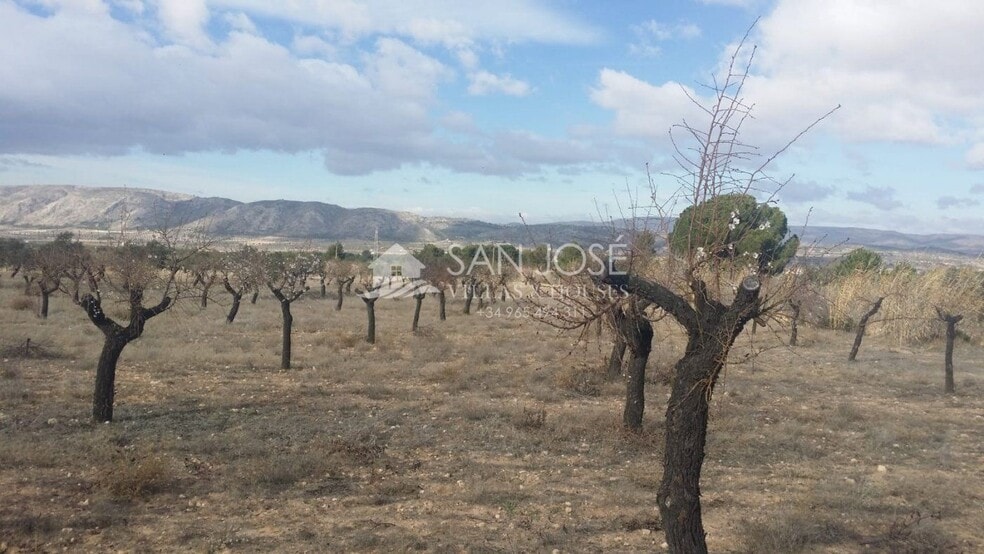 Land in Biar for sale - Building Photo - Image 1 of 6