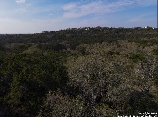 82 County Road 273, Mico, TX for sale - Aerial - Image 2 of 9