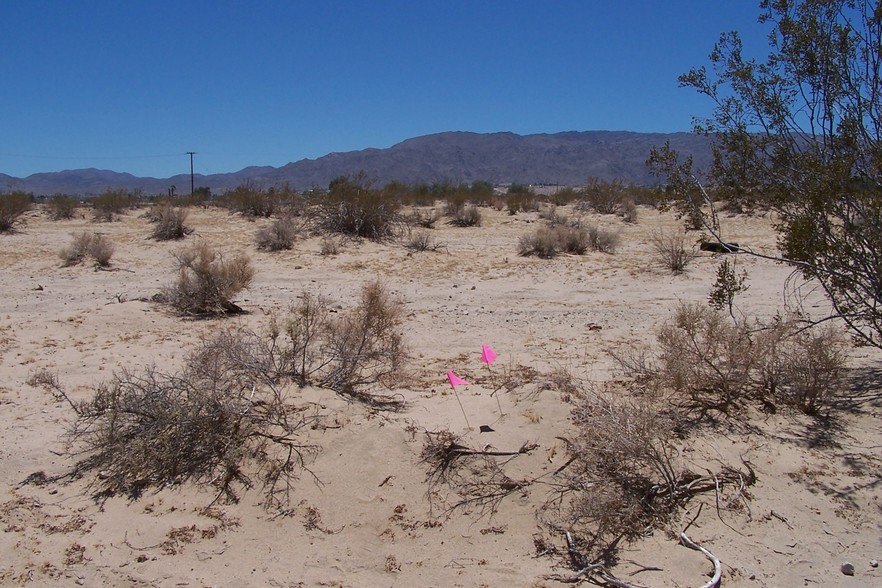 Ramona Dr, Twentynine Palms, CA for sale - Primary Photo - Image 1 of 1