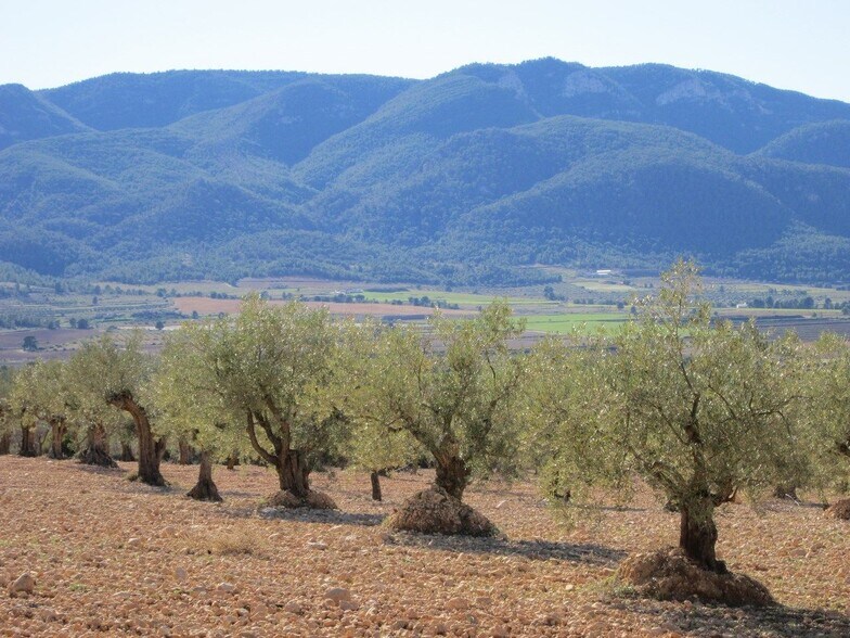 Land in MURCIA for sale - Building Photo - Image 3 of 5