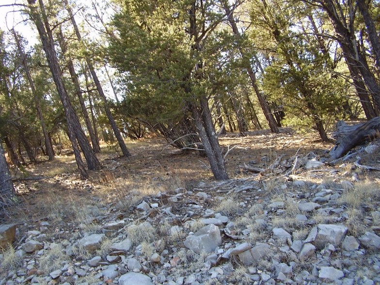 Quirt, Timberon, NM 88350