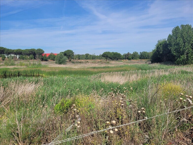 Land in Coreses for sale - Building Photo - Image 2 of 19