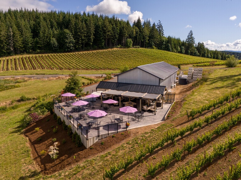 12000 NW Old Wagon Rd, Carlton, OR for sale - Aerial - Image 2 of 27