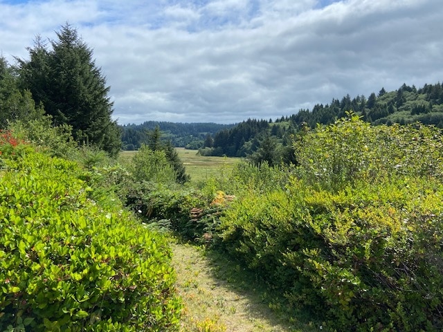 TL 203 Beaver Creek, Seal Rock, OR for sale - Other - Image 3 of 12