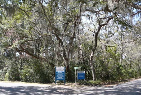 391 Hamilton Rd, Saint Simons Island, GA for sale Primary Photo- Image 1 of 1