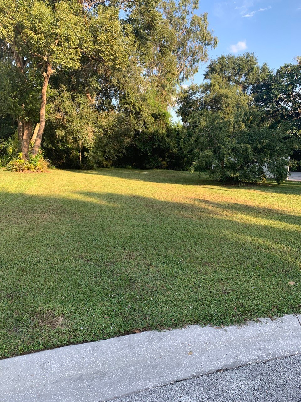 10810 Tradition Loop, Tampa, FL for sale Primary Photo- Image 1 of 1