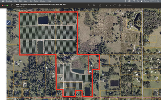 More details for 2206 Williams Rd, Plant City, FL - Land for Sale