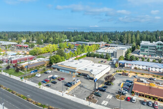 4201 196th St SW, Lynnwood, WA - aerial  map view