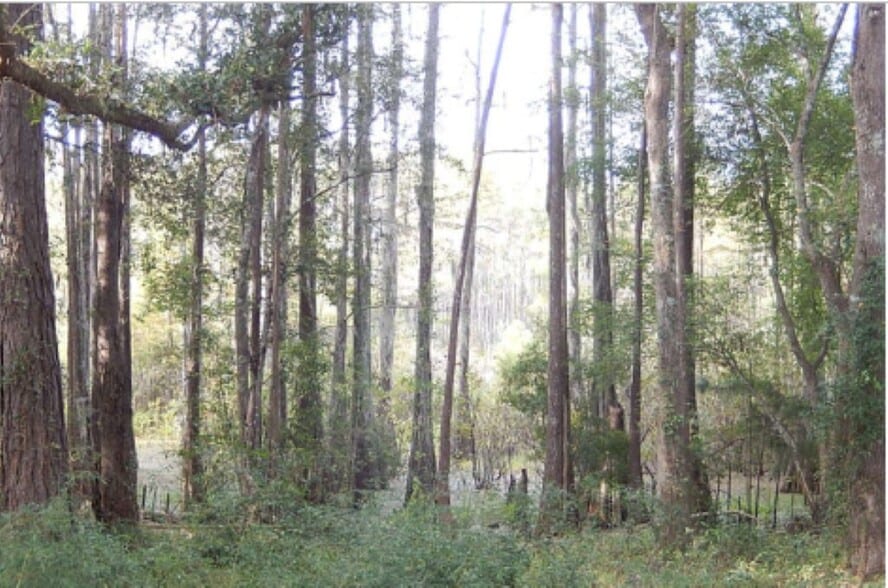 18 Unit Residential Portfolio (46 Bed) portfolio of 12 properties for sale on LoopNet.com - Building Photo - Image 3 of 17