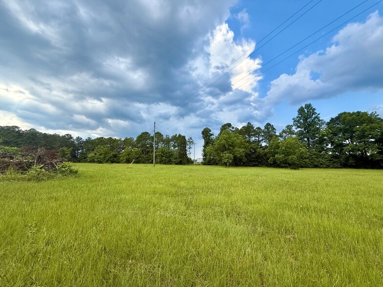 940 Co 14 rd, Auburn, AL for sale - Building Photo - Image 3 of 22