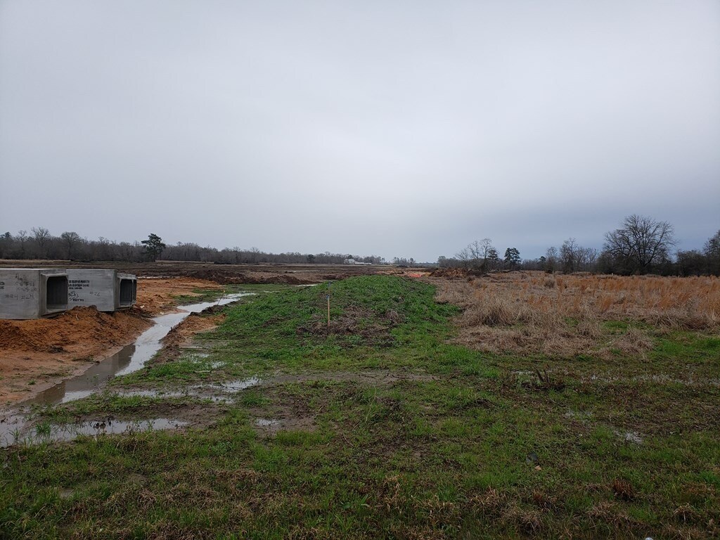 503 FM 1818 Rd, Diboll, TX 75941 Land for Sale