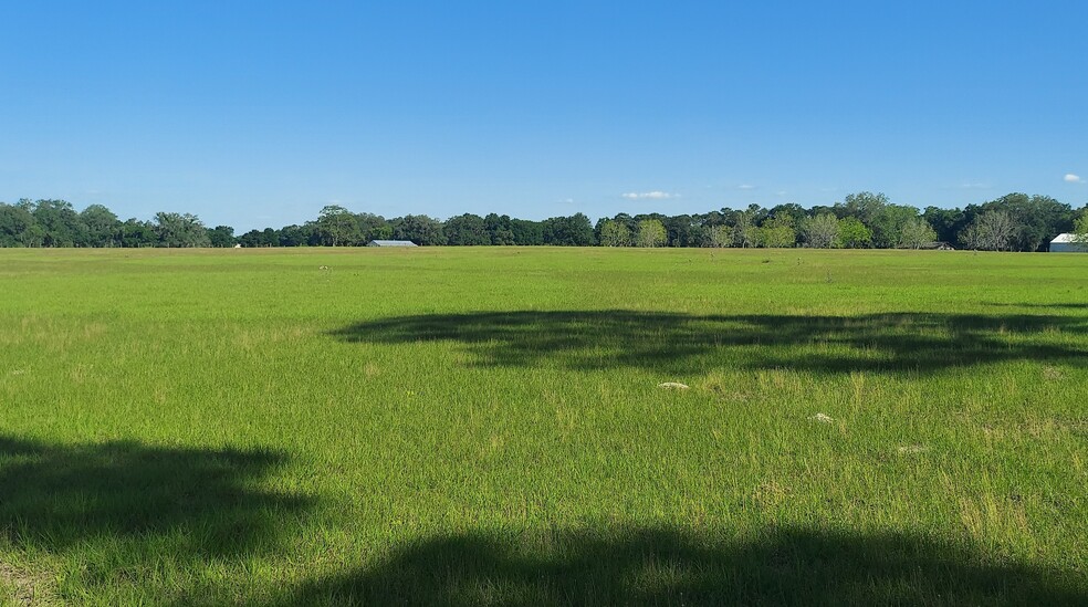 TBD Hwy 475, Oxford, FL for sale - Interior Photo - Image 1 of 8