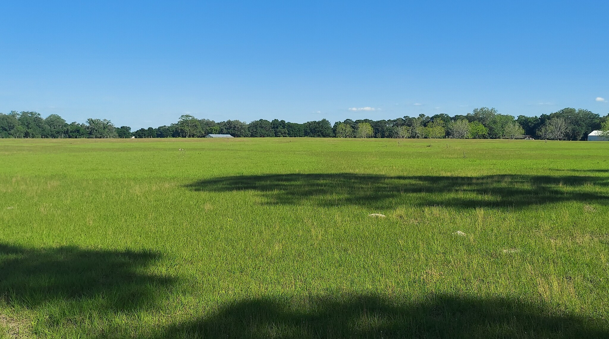 TBD Hwy 475, Oxford, FL for sale Interior Photo- Image 1 of 9