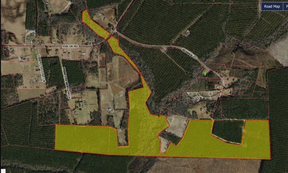 Shiloh Rd, Ivanhoe, NC 28447