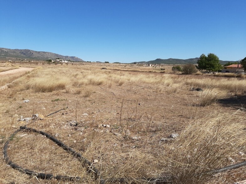 Land in PINOSO for sale - Building Photo - Image 3 of 4