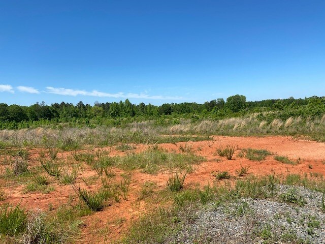 Frank Bunn Rd. & HWY 83, Forsyth, GA for sale Other- Image 1 of 1