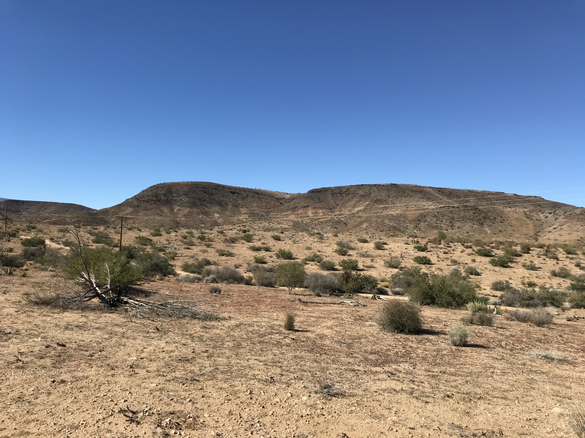 0 Curtis Rd, Pioneertown, CA for sale Other- Image 1 of 1