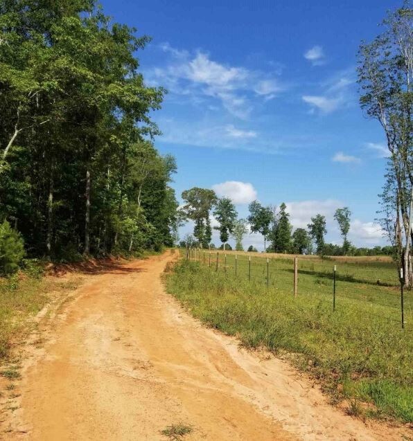 2063 Oak Grove Rd, Carrollton, GA for sale Other- Image 1 of 1