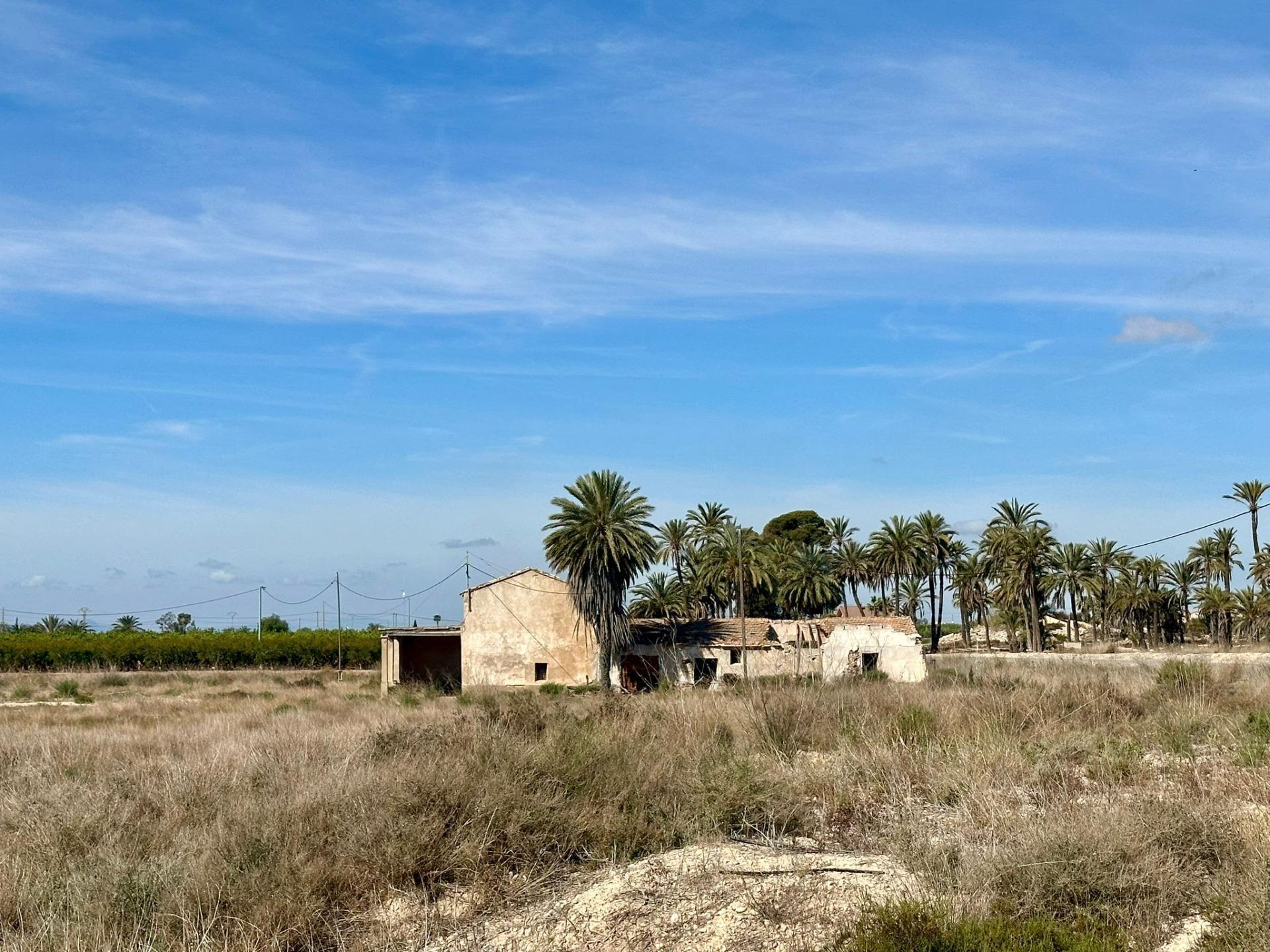 Land in Elche, Alicante for sale Building Photo- Image 1 of 7