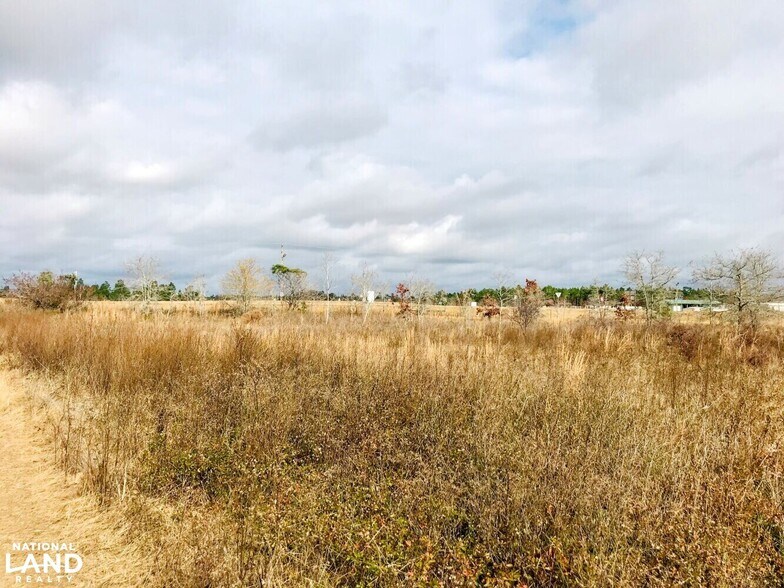 0 Hwy 96/Hwy 137, Butler, GA 31006