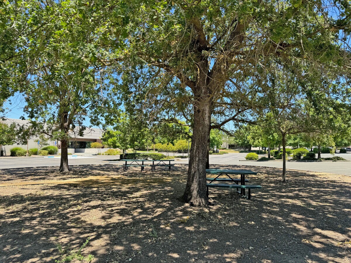 View Photo