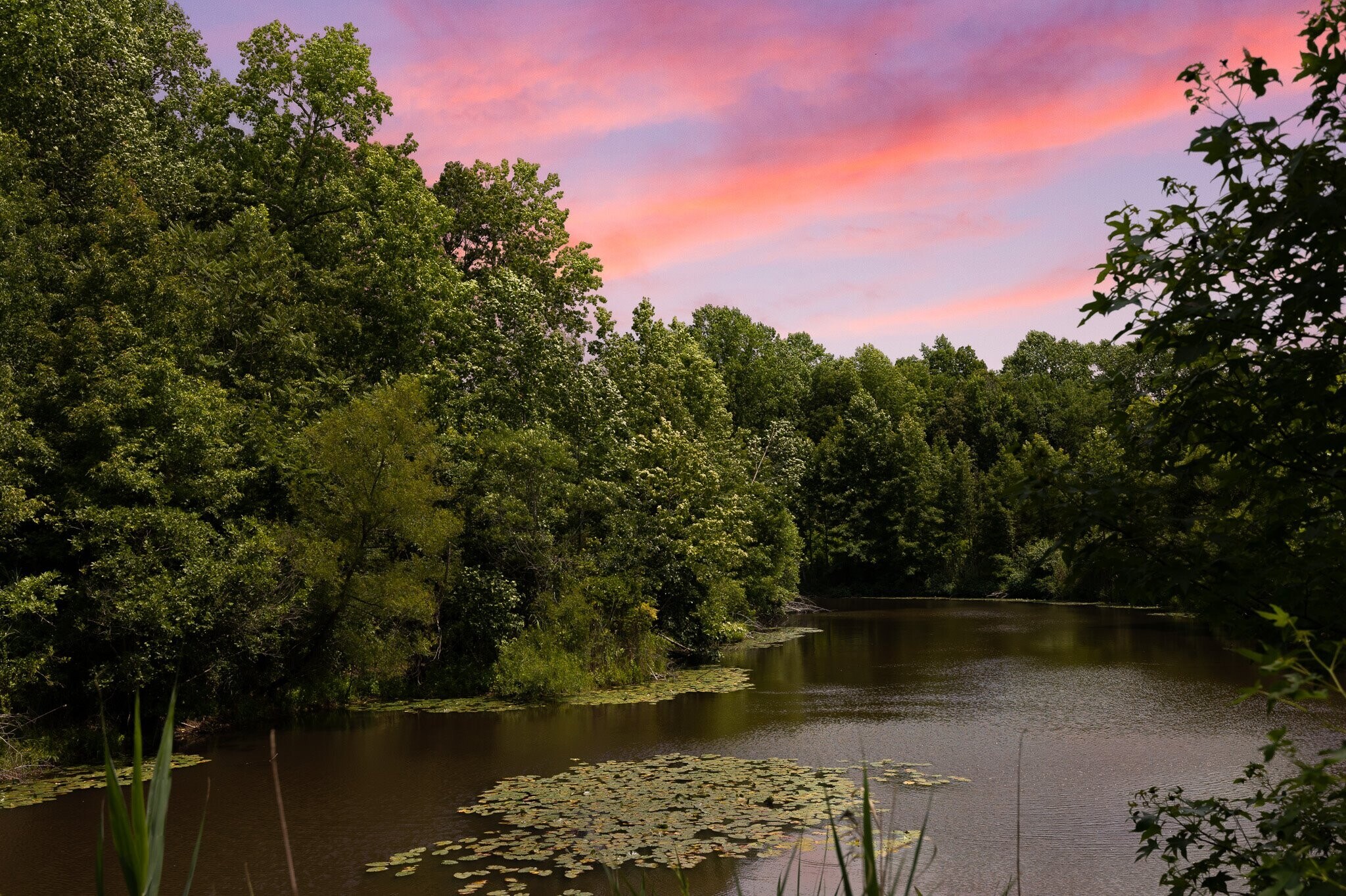 542 Route 49, Bridgeton, NJ for sale Primary Photo- Image 1 of 1