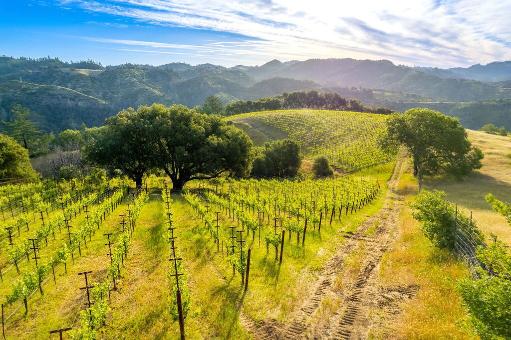 5000 Alpine Rd, Santa Rosa, CA for sale Primary Photo- Image 1 of 1