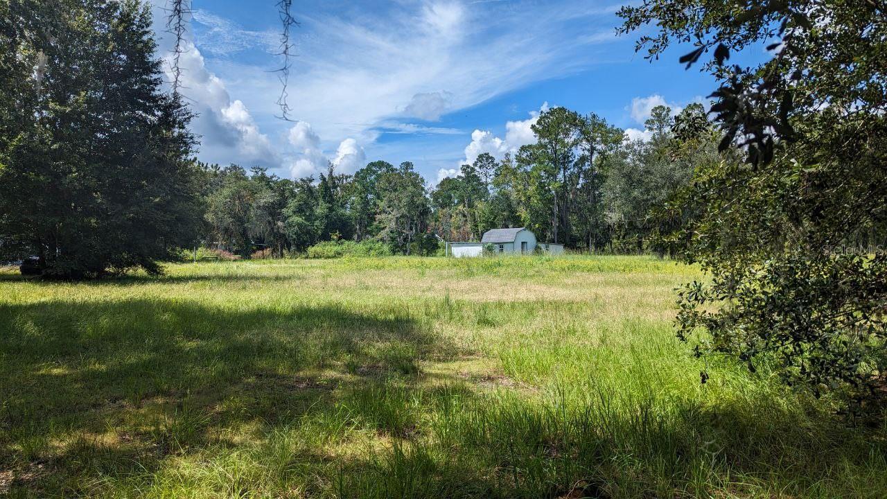 205 NW Highway 441, Micanopy, FL 32667 Land for Sale