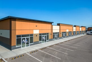 More details for 4058 109 Ave NE, Calgary, AB - Retail for Sale