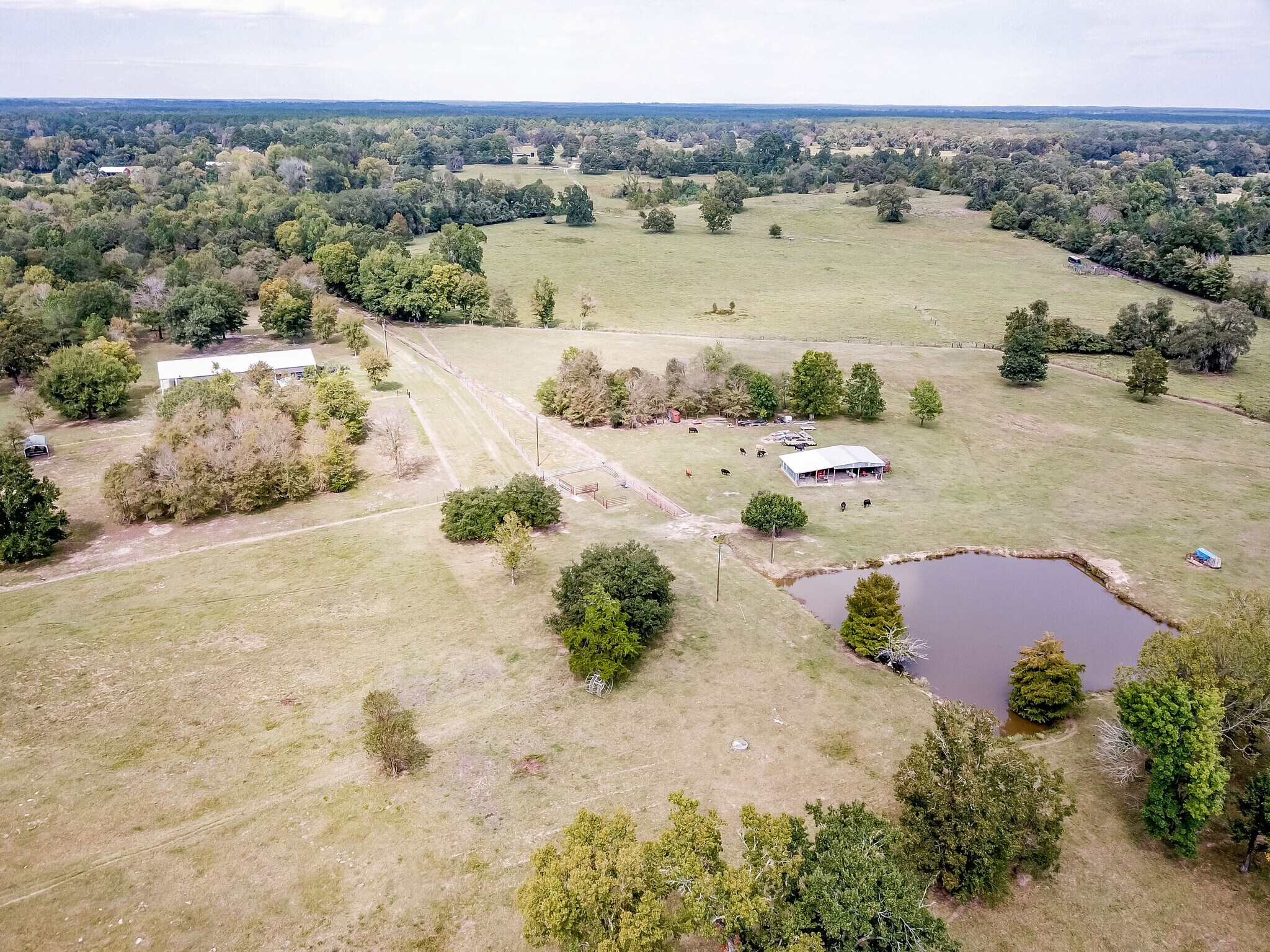 33 Harper Branch Rd, Trinity, TX for sale Aerial- Image 1 of 1